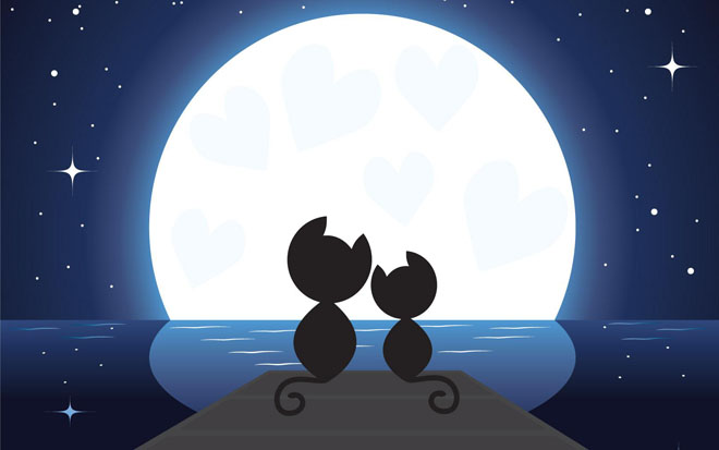 蓝色背景图片 月光下的两只小猫PPT背景图片